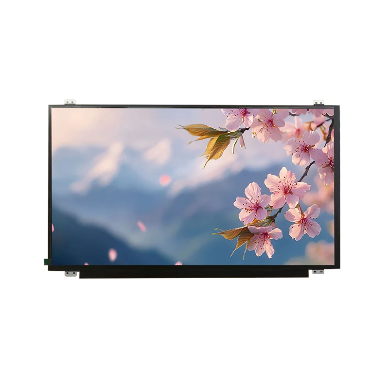15.6 'HD Wide Temp IPS TFT LCD Module