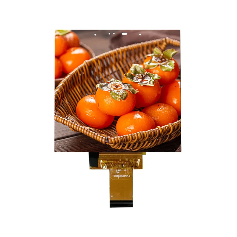 Μονάδα οθόνης αφής 3,95 ιντσών μικρού μεγέθους IPS για έξυπνο σπίτι Μονάδα οθόνης αφής 3,95 ιντσών μικρού μεγέθους IPS για έξυπνο σπίτι