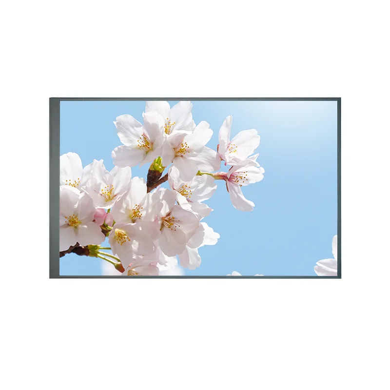 8,0 ίντσα κανονικά πίσω TFT IPS TFT LCD Module